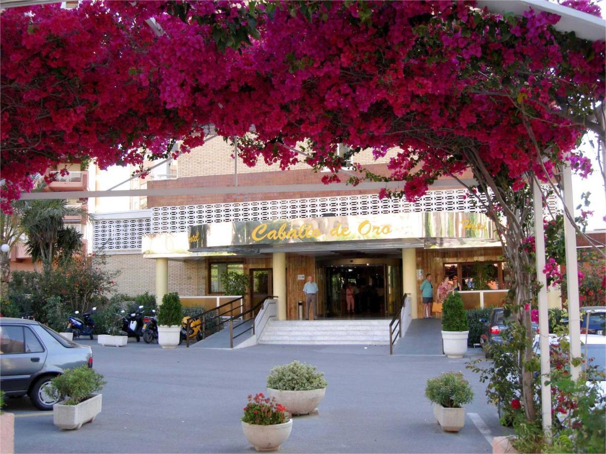 Hotel Caballo De Oro Benidorm Exterior photo